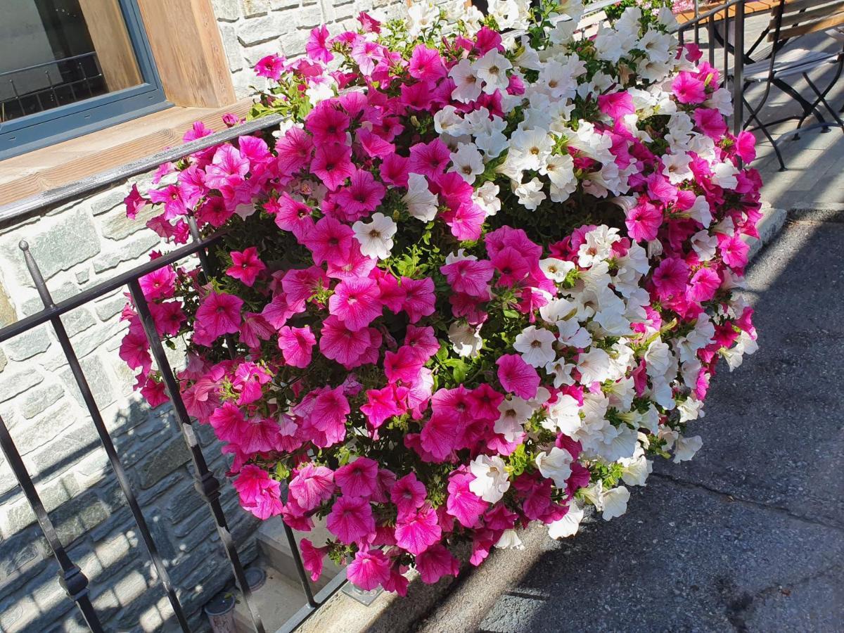 Hotel Phoenix Zermatt Zewnętrze zdjęcie