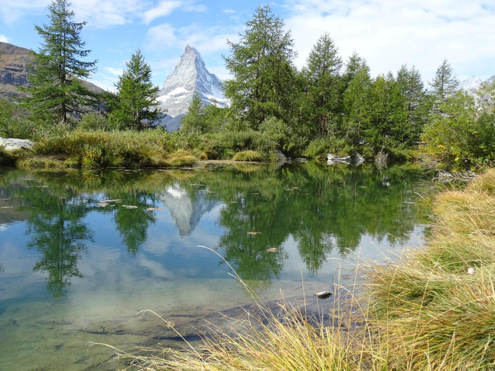 Hotel Phoenix Zermatt Zewnętrze zdjęcie