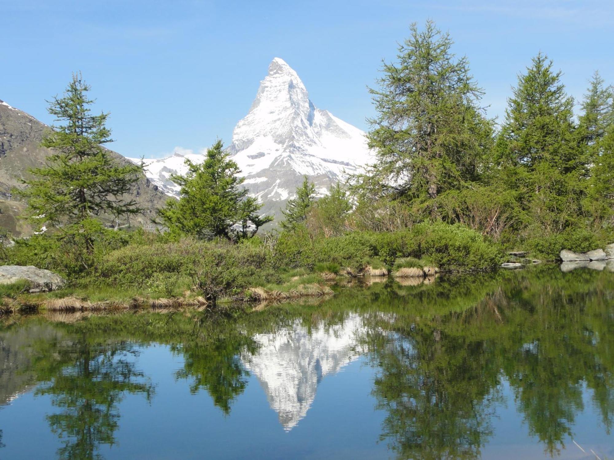 Hotel Phoenix Zermatt Zewnętrze zdjęcie